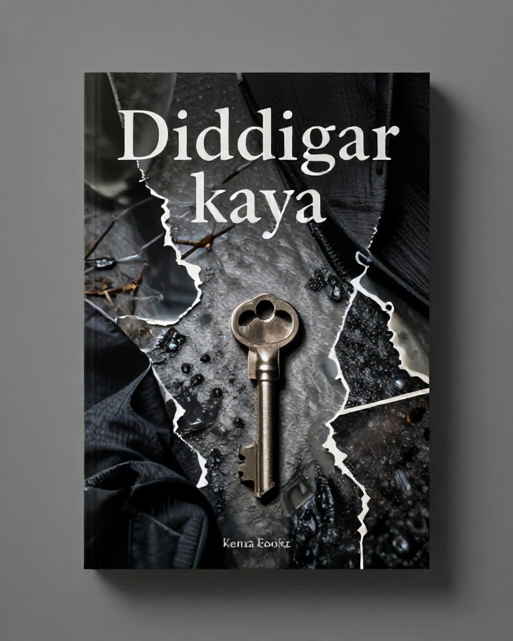 Cover art for Diddigar kaya complete